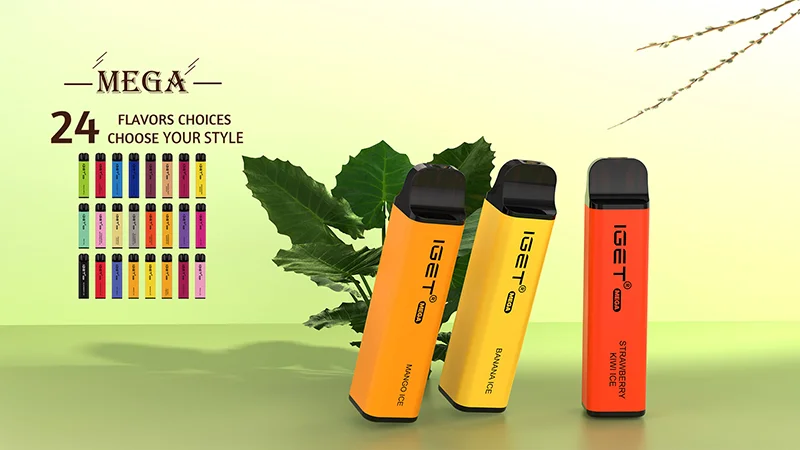 iget mega 3000 puffs bar